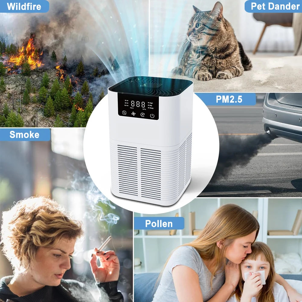 Air Purifier with Smoke Odor Removal & Negative Ion Generator